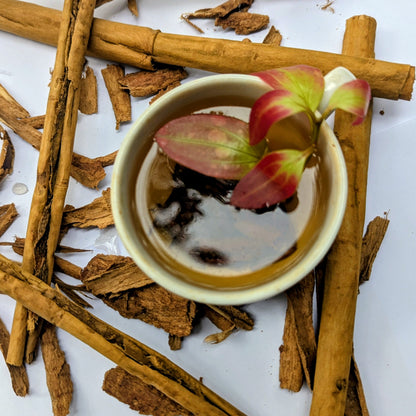 Cinnamon Herbal Tea 100% Natural