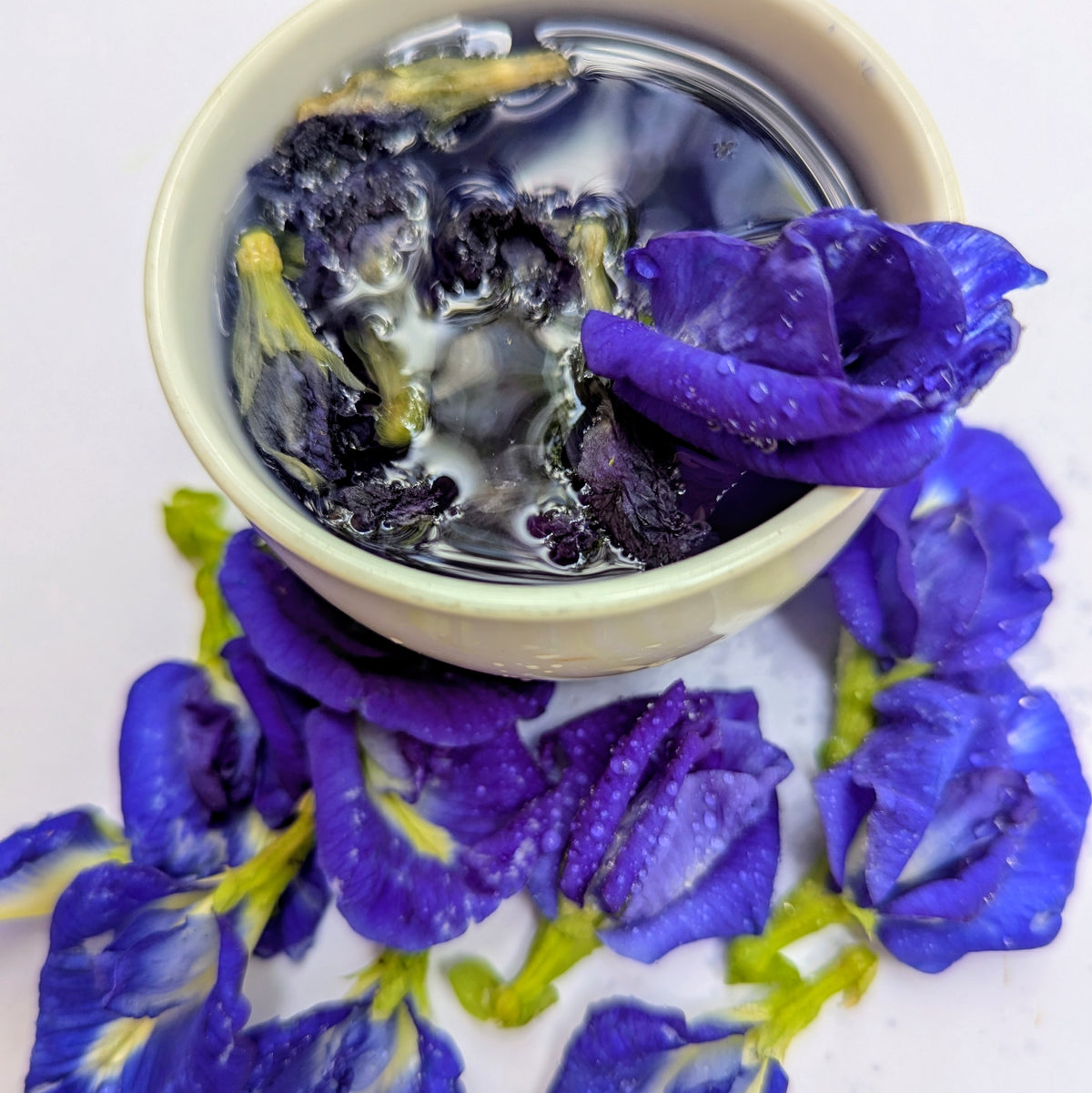 Dried Butterfly Pea Flower Herbal Tea – 100% Natural