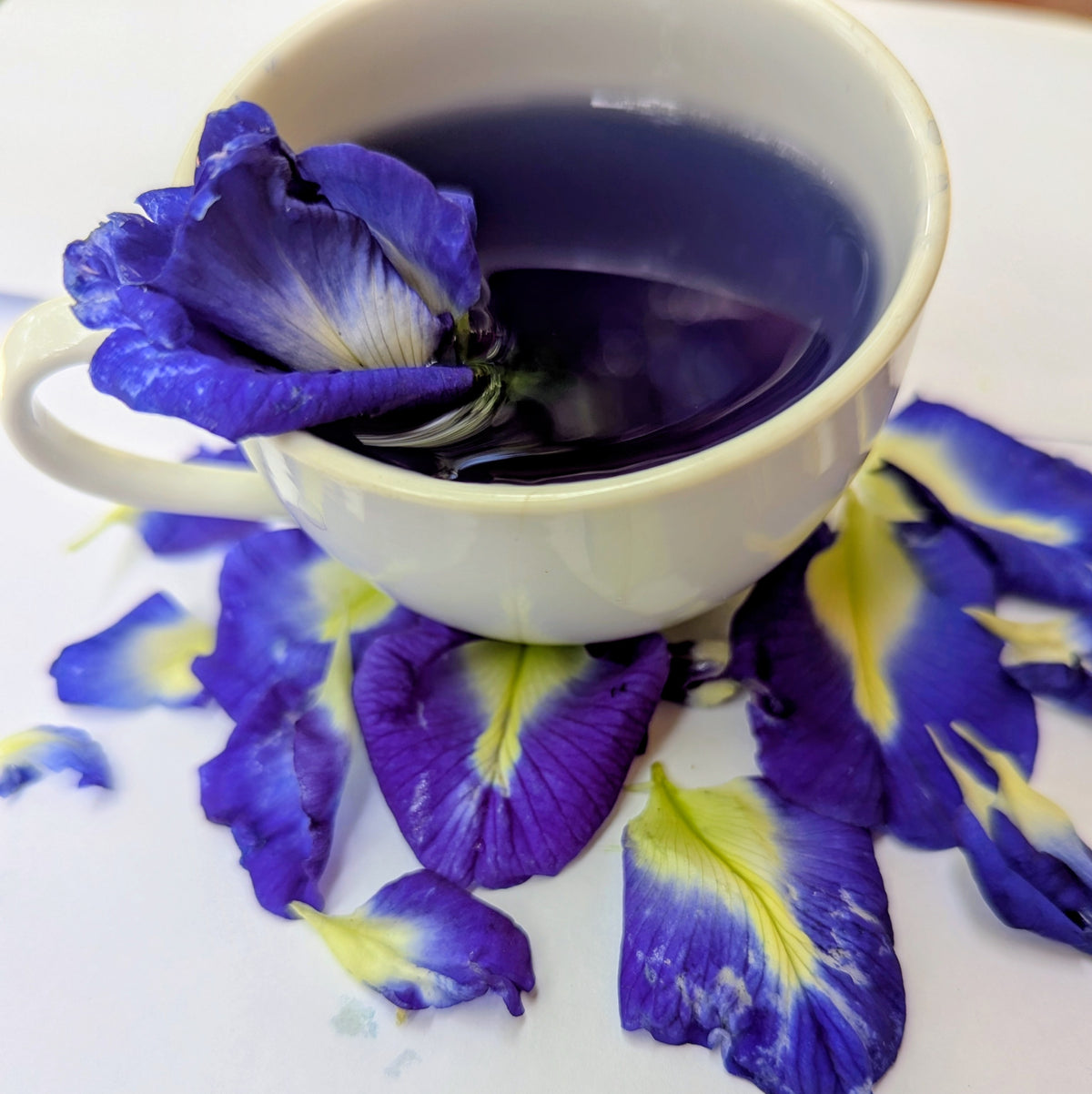 Dried Butterfly Pea Flower Herbal Tea – 100% Natural