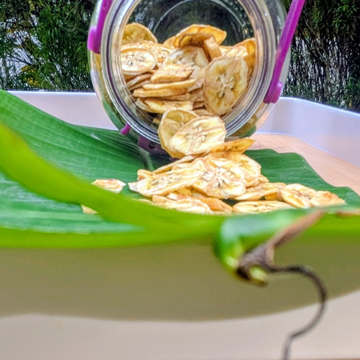 Premium Dehydrated Banana Slices
