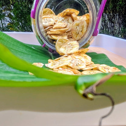 Premium Dehydrated Banana Slices