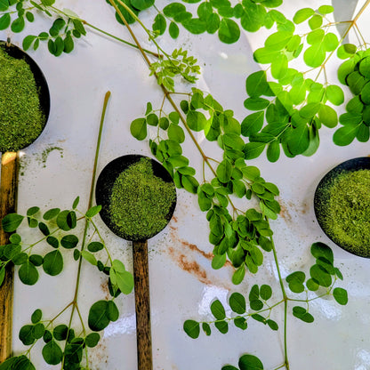 Moringa Oleifera Leaf Powder - 100% Natural
