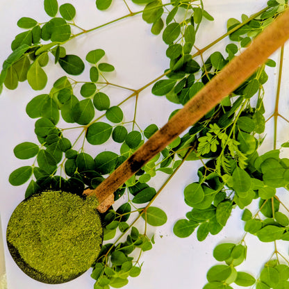 Moringa Oleifera Leaf Powder - 100% Natural