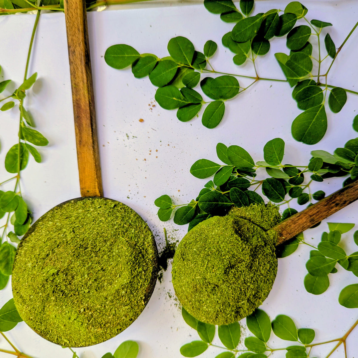 Moringa Oleifera Leaf Powder - 100% Natural