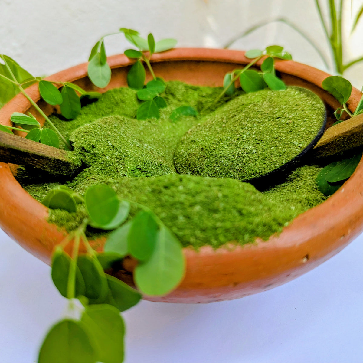 Moringa Oleifera Leaf Powder - 100% Natural