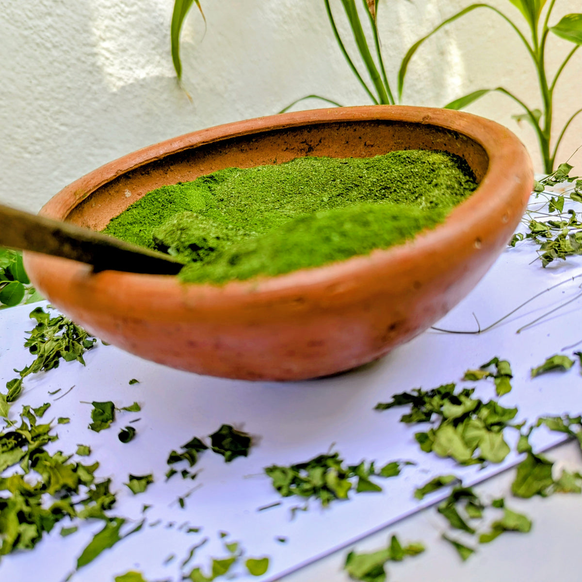 Moringa Oleifera Leaf Powder - 100% Natural