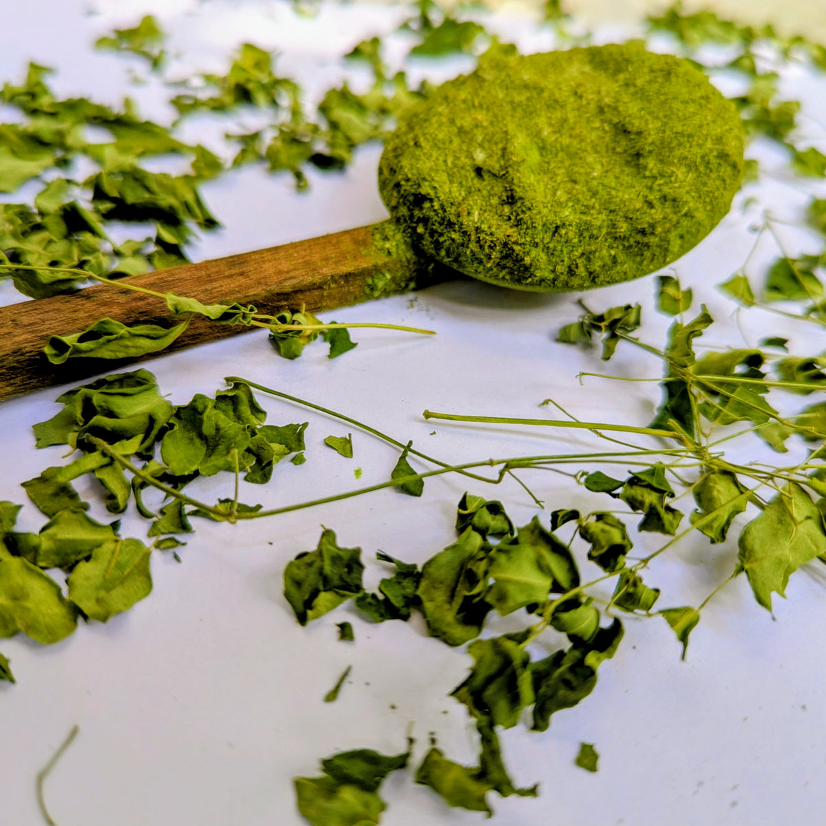 Moringa Oleifera Leaf Powder - 100% Natural