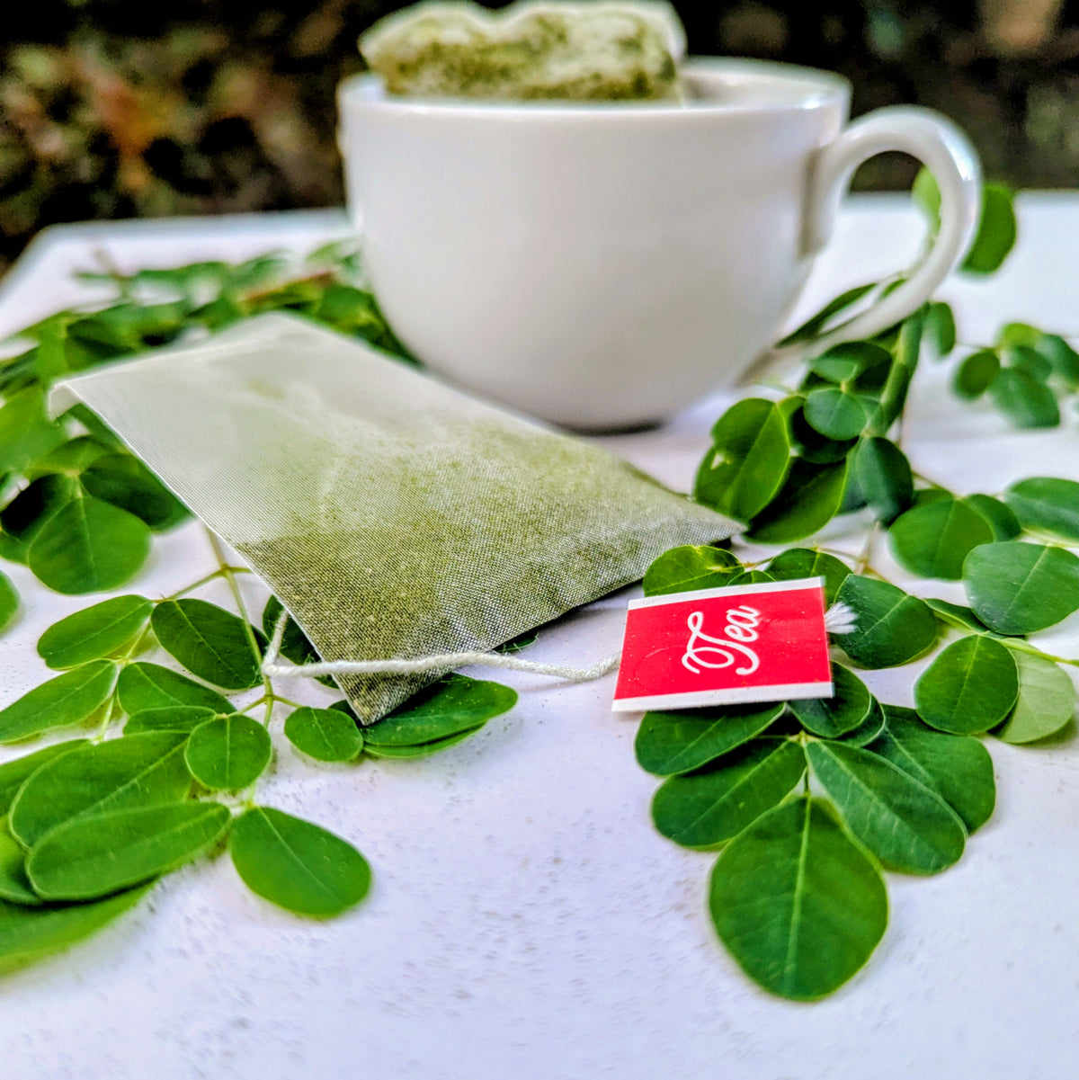 Moringa Leaves Herbal Tea (Moringa oleifera) - 100% Natural
