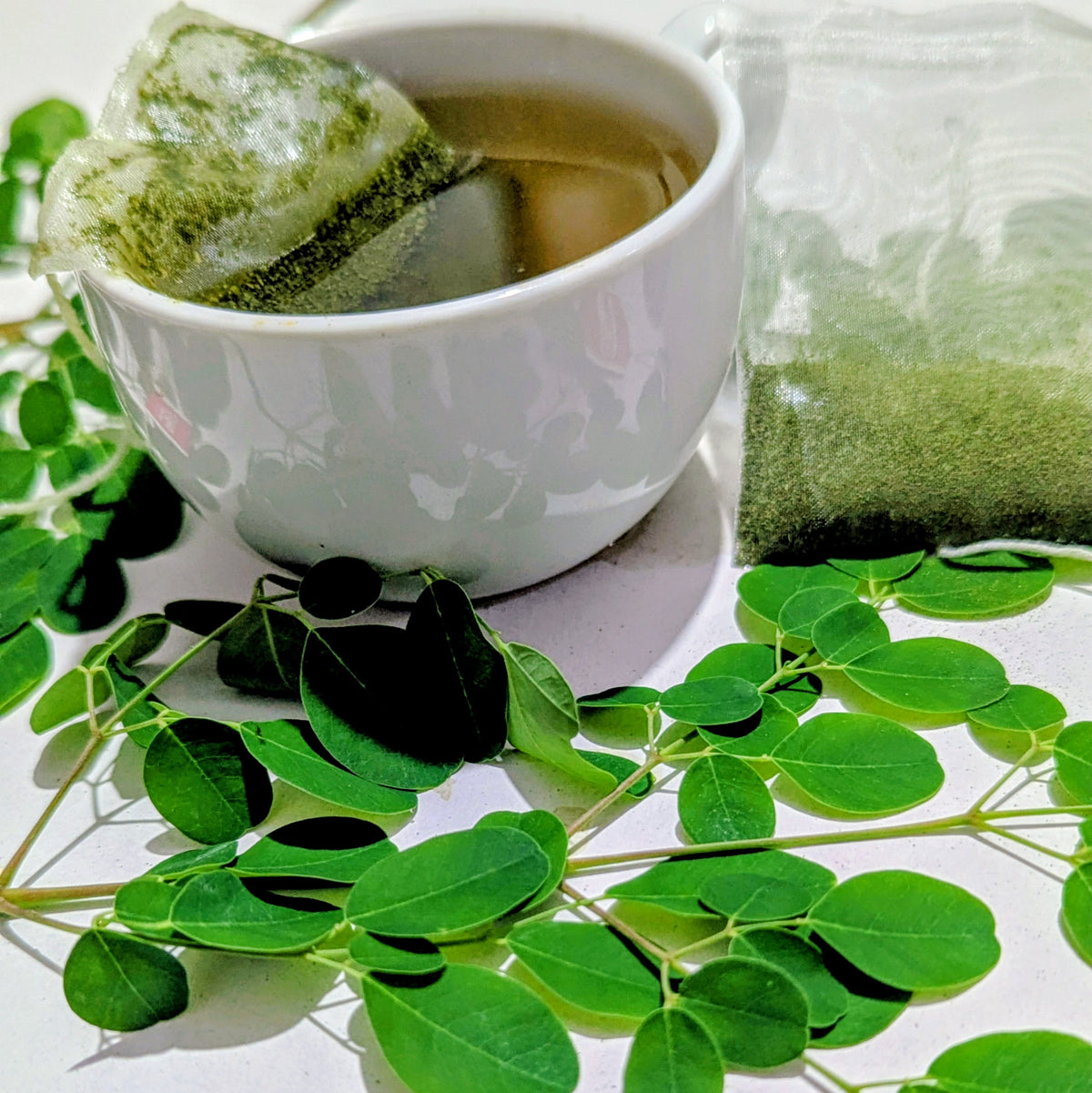 Moringa Leaves Herbal Tea (Moringa oleifera) - 100% Natural