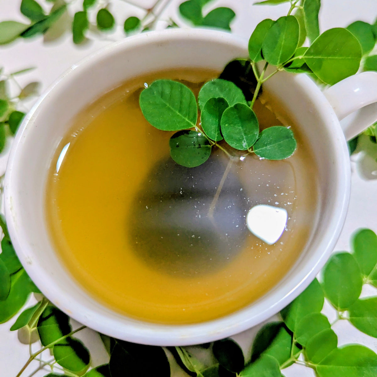 Moringa Leaves Herbal Tea (Moringa oleifera) - 100% Natural