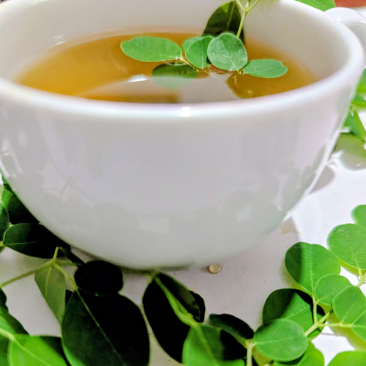 Moringa Leaves Herbal Tea (Moringa oleifera) - 100% Natural