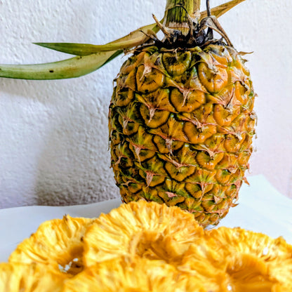 🍍 Premium Dehydrated Pineapple Slices