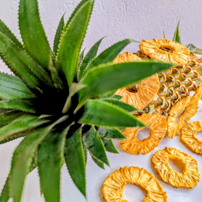 🍍 Premium Dehydrated Pineapple Slices