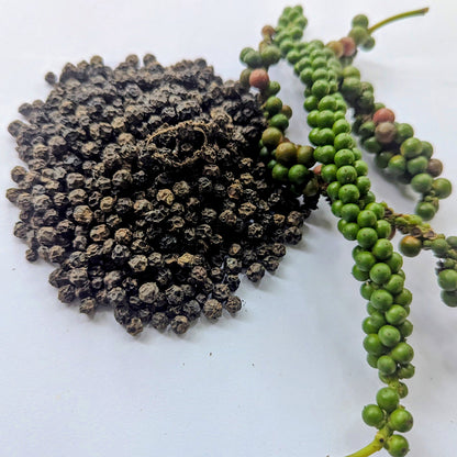 Black Pepper Powder (Whole) - Natural & Aromatic Spice | Purevista Naturals
